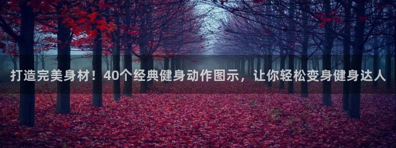 尊龙新版app