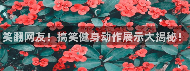 尊龙新版官网网页版