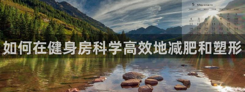 d88尊龙手机客户端下载
