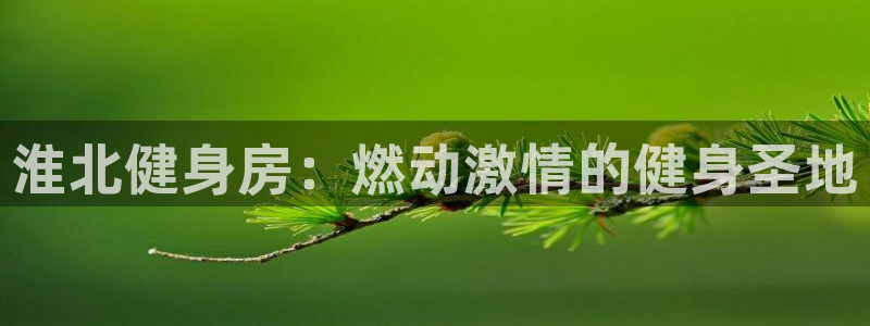 尊龙凯时-人生就是搏!
