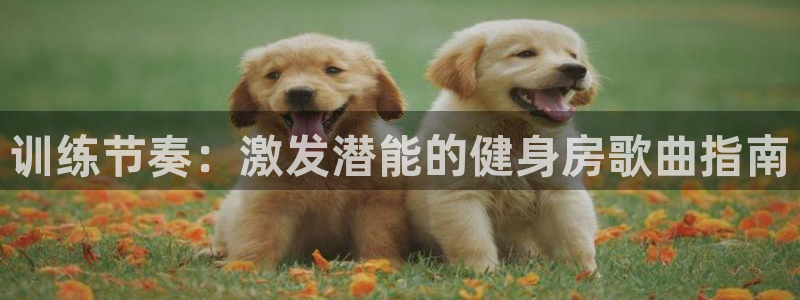 尊龙凯时app官网