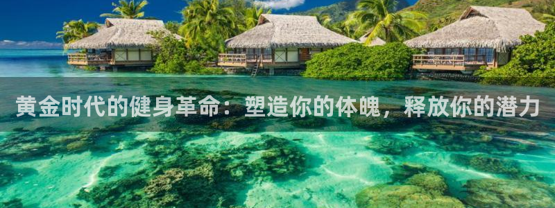 尊龙人生就是博旗舰厅