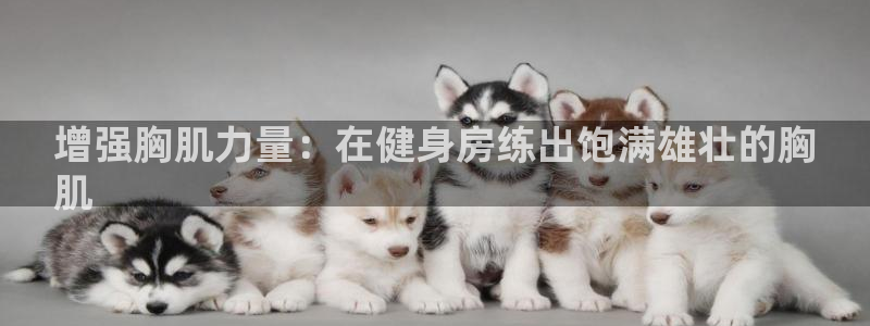 尊龙凯时官方网站