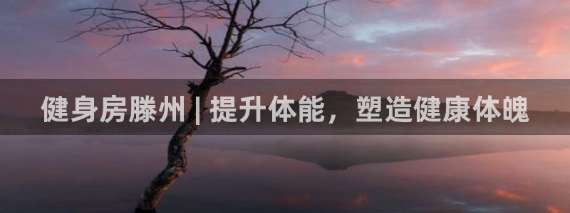 ag尊龙凯时中国官网