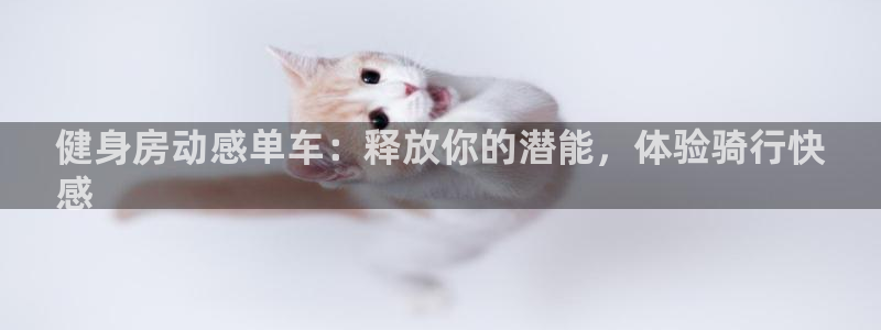 尊龙凯时官方网站