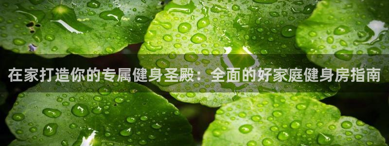 d88尊龙手机客户端下载