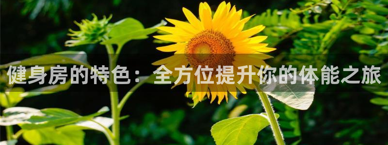 尊龙d88用现推选ag发财网