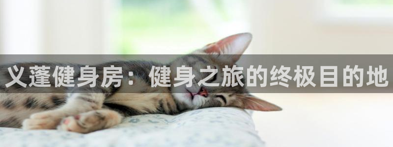 尊龙新版APP首页
