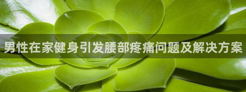 d88尊龙官网手机app