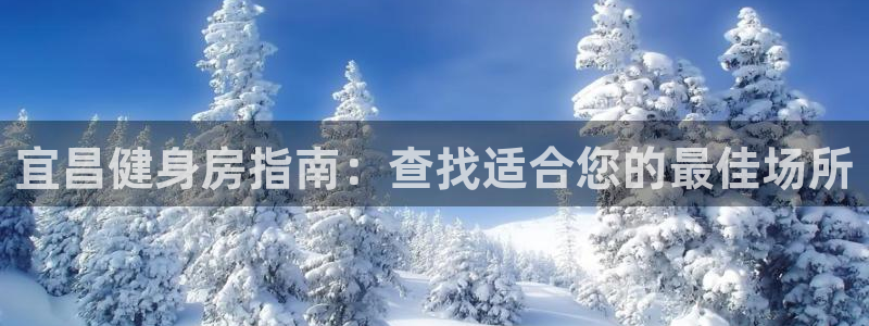 尊龙APP手机版官网