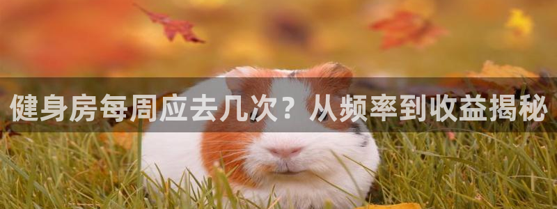 尊龙d88用现推选ag发财网